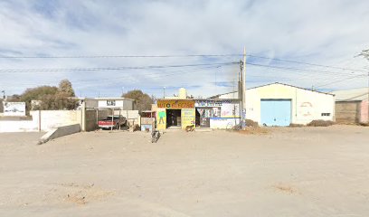 Negocio Auto Electrico