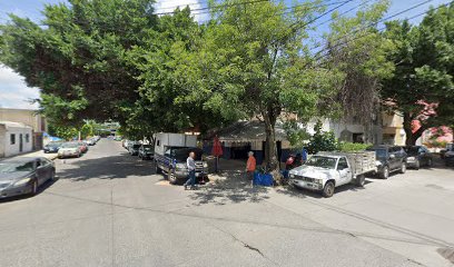 Negocio Auto Eléctrico Ángel