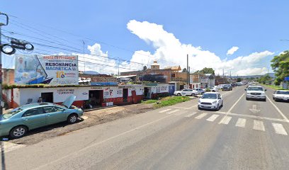 Negocio Auto Electrico Guzman Mtz