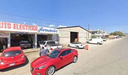 Negocio Auto Electrico