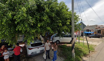 Negocio Auto-Electrico Martinez