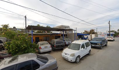 Autoelectrico Vega