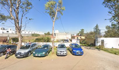 Negocio Automotriz Javo
