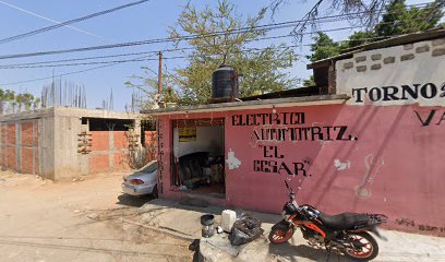 Negocio El Cesar