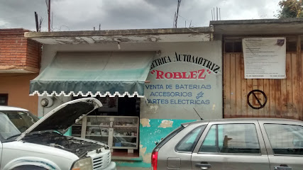 Negocio Eléctrica Automotriz Roblez