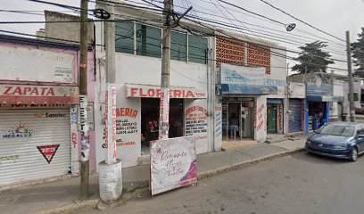 Negocio Electrica Zapata