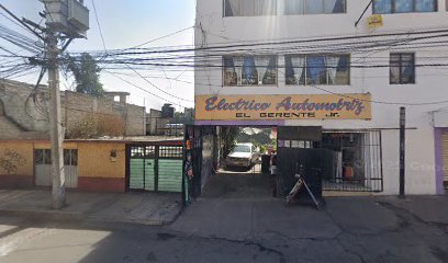 Negocio Eléctrico Automotriz