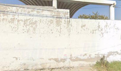 Negocio Eléctrico Automotriz