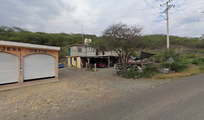 Negocio Eléctrico Automotriz