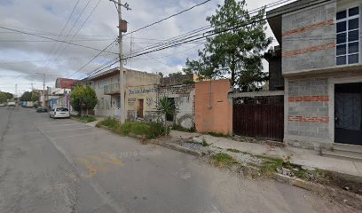 Negocio Electrico Automotriz