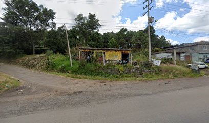 Negocio Eléctrico Automotriz Ayala