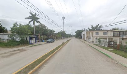 Negocio Electrico Automotriz 