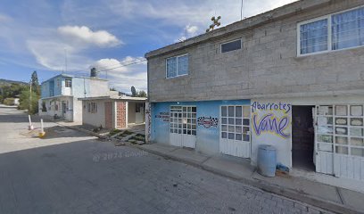 Negocio Eléctrico Automotriz Sandoval