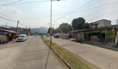 Negocio Electrico Automotriz Segura