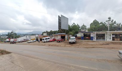 Negocio Electrico El Pariente