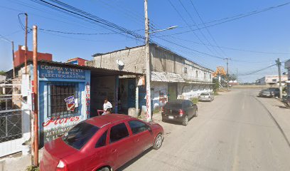 Negocio Eléctrico Flores
