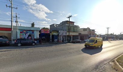 Mecanico Electrico