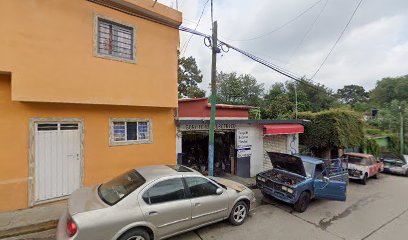 Negocio Servicio Auto Eléctrico