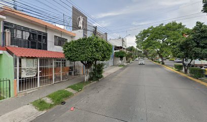 Negocio Servicio Auto Eléctrico
