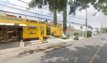 Servicio Auto Eléctrico