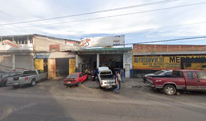 Negocio Servicio Auto Electrico El Pajaro