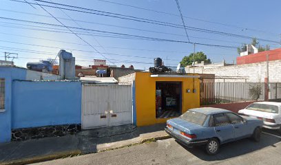 Negocio Servicio Auto Electrico 