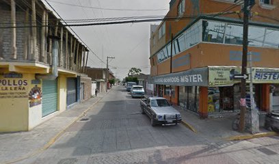 Negocio Servicio Auto Electrico Romita