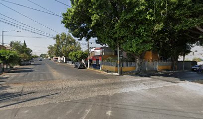 Servicio Auto Eléctrico