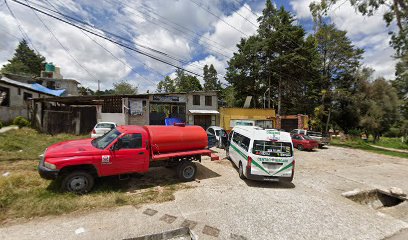 Negocio Servicio Electrico Automotriz