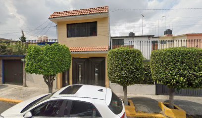 Negocio Servicio Eléctrico Automotriz
