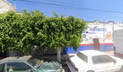 Negocio Servicio Electrico Automotriz