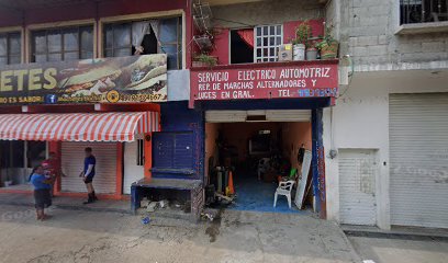 Negocio Servicio Electrico Automotriz