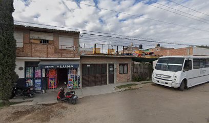 Negocio Servicio Eléctrico Automotriz