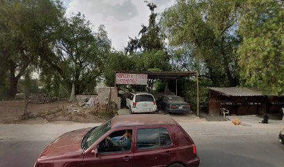 Negocio Servicio Electrico Automotriz