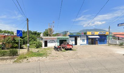 Negocio Servicio Electrico Automotriz