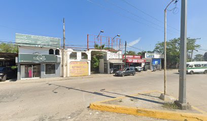 Negocio Servicio Electrico Automotriz