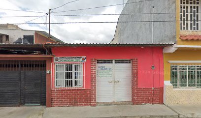 Negocio Servicio Electrico Automotriz