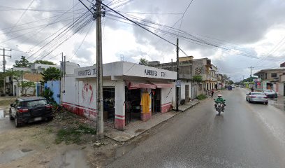 Servicio Eléctrico Automotriz Aguilar
