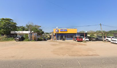 Negocio Servicio Electrico Automotriz Arellano