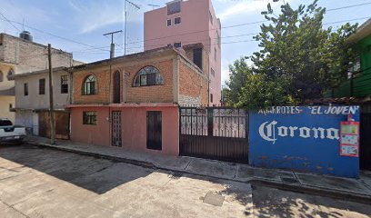 Negocio Servicio Electrico Automotriz 