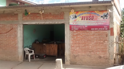 Negocio Servicio Eléctrico Automotriz Ayuso