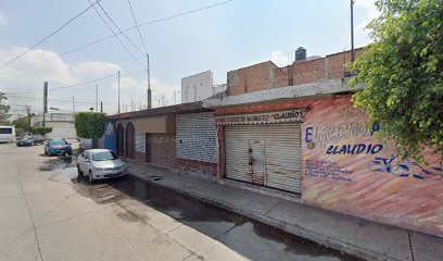Negocio Servicio Eléctrico Automotriz