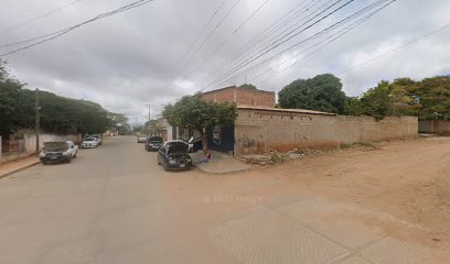 Negocio Servicio Eléctrico Automotriz “El Conejo”
