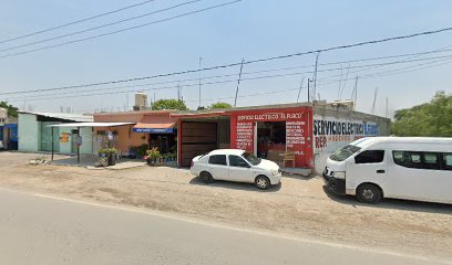 Negocio Servicio Electrico Automotriz 
