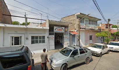 Negocio Servicio Electrico Automotriz Flores