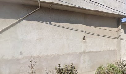 Servicio Electrico Automotriz Gonzalez