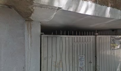 Servicio Electrico Automotriz 