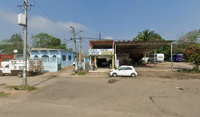 Negocio Servicio Electrico Automotriz 