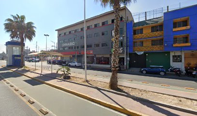 Negocio Servicio Electrico Automotriz