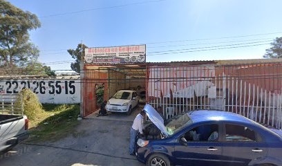 Negocio Servicio Electrico Automotriz Tellez